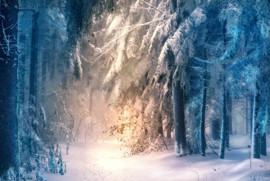 超混电驱奇骏，轻松应对冰雪路况让出行更安心